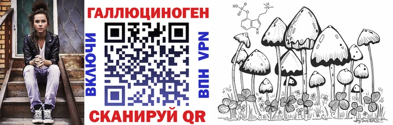 Псилоцибиновые грибы MAGIC MUSHROOMS магазин наркотиков Алатырь